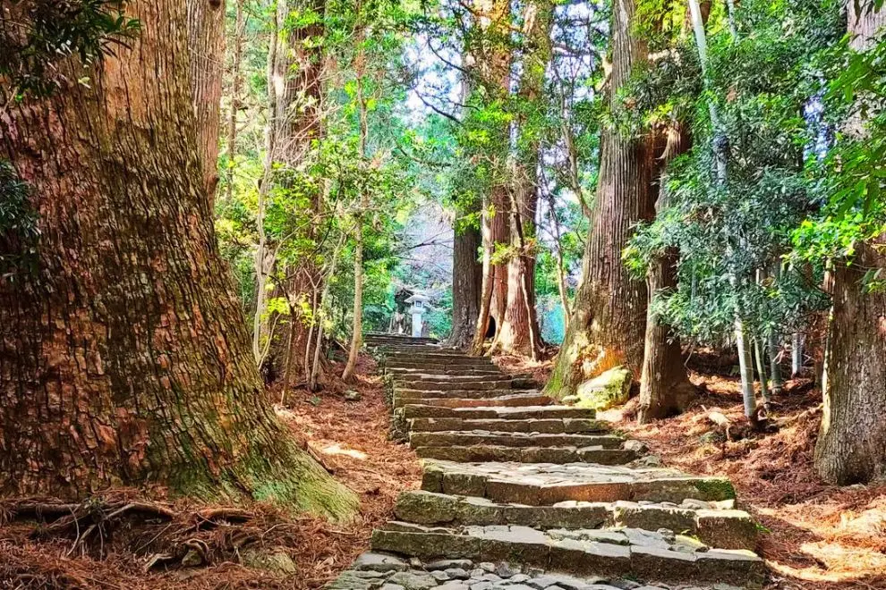 日本｜熊野古道攻略┃6大經典路線難度、費用全解析！